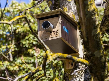 Gemeinsamer Einsatz für den Vogelschutz