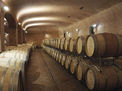 Eine weitere Etappe führte die Reisegruppe in das Knauf Weingut nach Bolgheri.